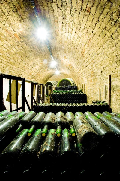 Vin arkiv, vinkällaren i jaroslavice, Tjeckien — Stockfoto