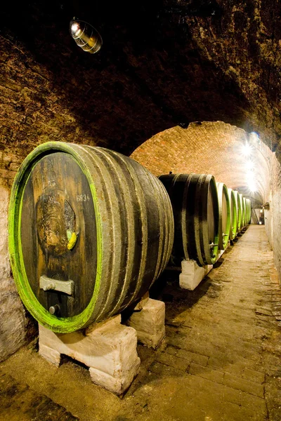 Cave à vin, Jaroslavice, République tchèque — Photo