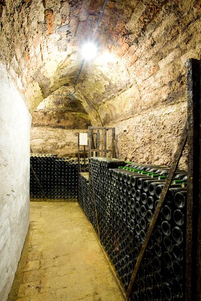 Wine archive, wine cellar in Jaroslavice, Czech Republic — Stock Photo, Image