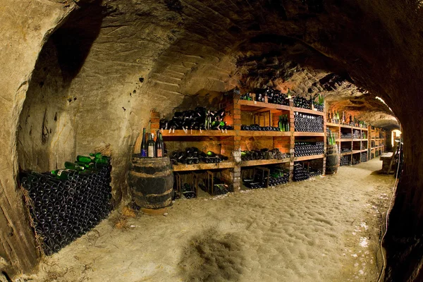 酒窖，bily sklep rodiny adamkovy，chvalovice，捷克共和国 — 图库照片