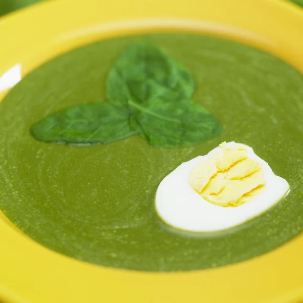 Cream spinach soup — Stock Photo, Image