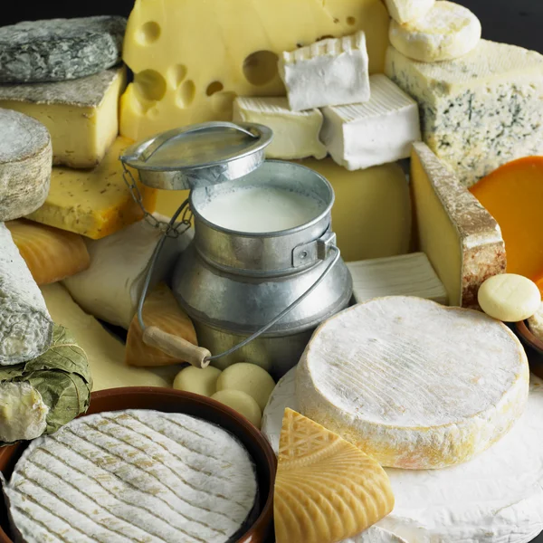 チーズ ミルクのある静物 — ストック写真
