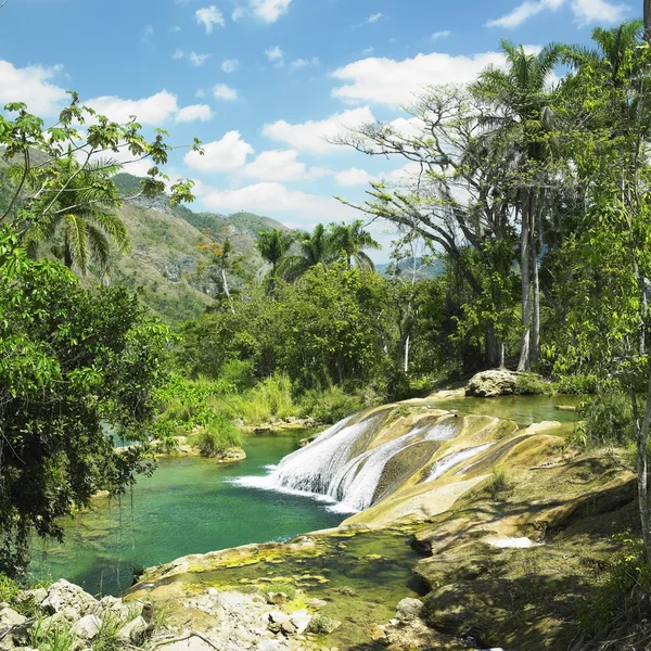 El nicho 瀑布，西恩富戈斯省古巴 — 图库照片