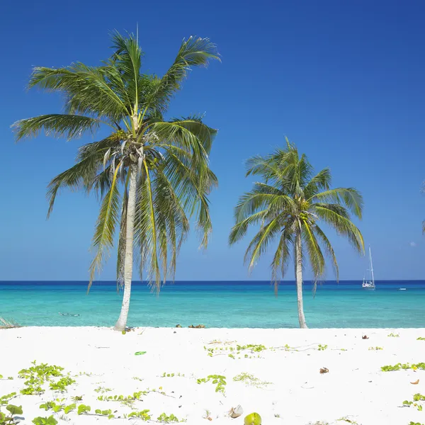 古巴比那尔德里奥省，玛丽亚 · 拉戈尔达海滩 — 图库照片