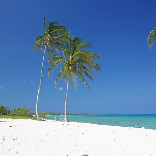 Praia de Maria la Gorda, província de Pinar del Rio, Cuba — Fotografia de Stock