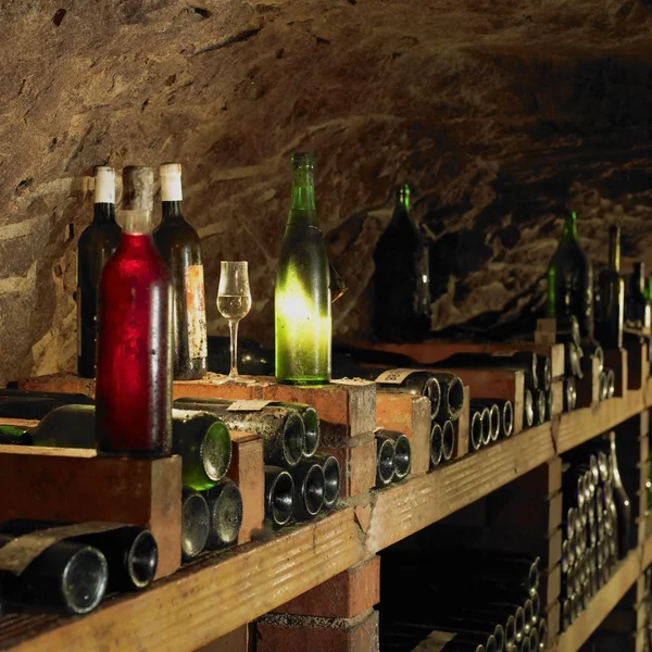 Wine cellar, Bily sklep rodiny Adamkovy, Chvalovice, Czech Republic — Stock Photo, Image
