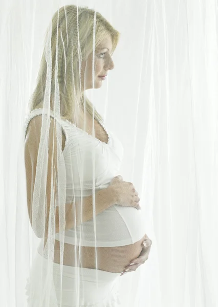 Retrato de mujer embarazada —  Fotos de Stock
