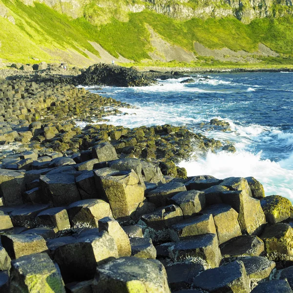 Giant 's Causeway, County Antrim, Северная Ирландия — стоковое фото