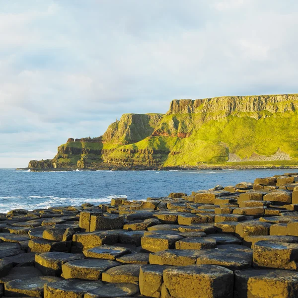Giant 's Causeway, County Antrim, Irlanda do Norte — Fotografia de Stock