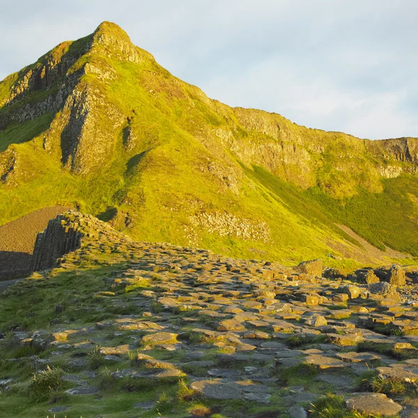 stock image Giant's Causeway, County Antrim, Northern Ireland