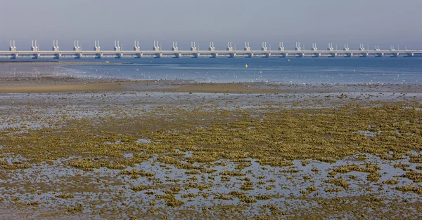 Delta, zeeland, Nederländerna Royaltyfria Stockbilder