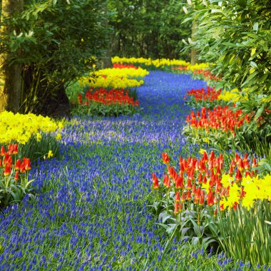 Keukenhof Bahçeleri, Lisse, Hollanda