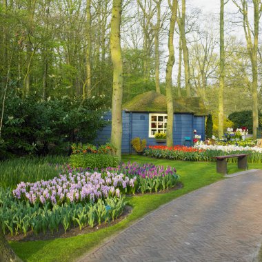 Keukenhof Bahçeleri, Lisse, Hollanda