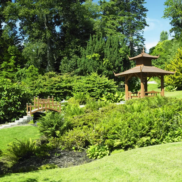 일본 정원, Powerscourt 정원, 현 위 클로, 아일랜드 — 스톡 사진
