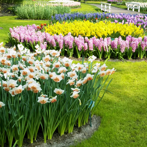 네덜란드 리 쎄, 쿠 정원 — 스톡 사진