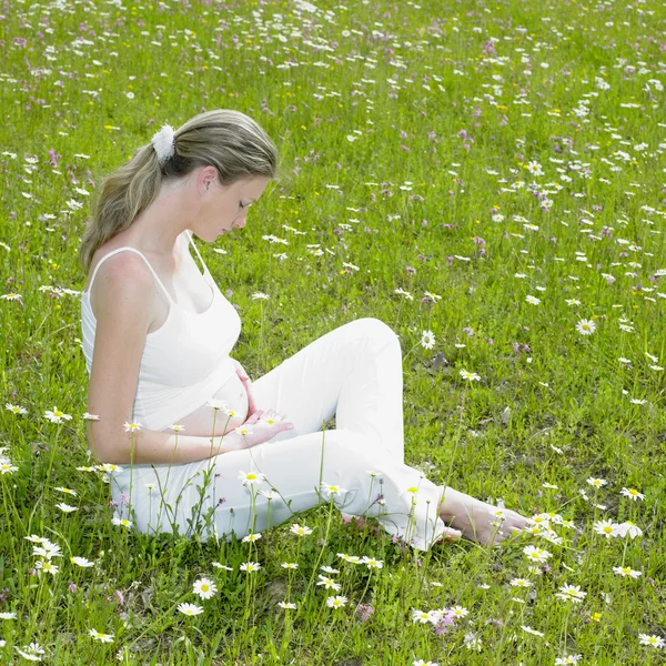 在草甸上孕女人 — 图库照片