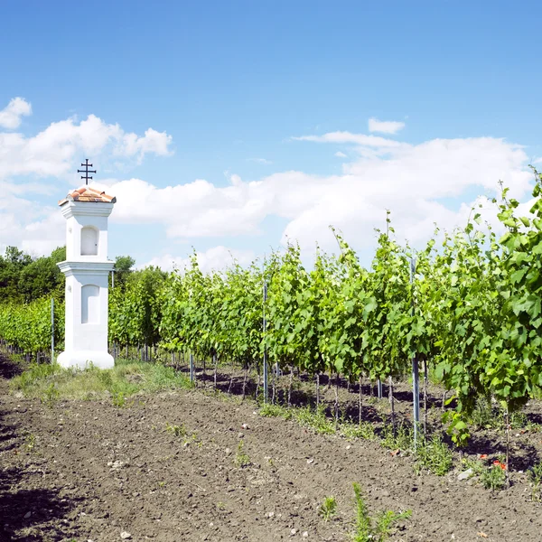 Capilla del pueblo con viñedo cerca de Perna, República Checa —  Fotos de Stock