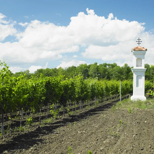 Capilla del pueblo con viñedo cerca de Perna, República Checa —  Fotos de Stock