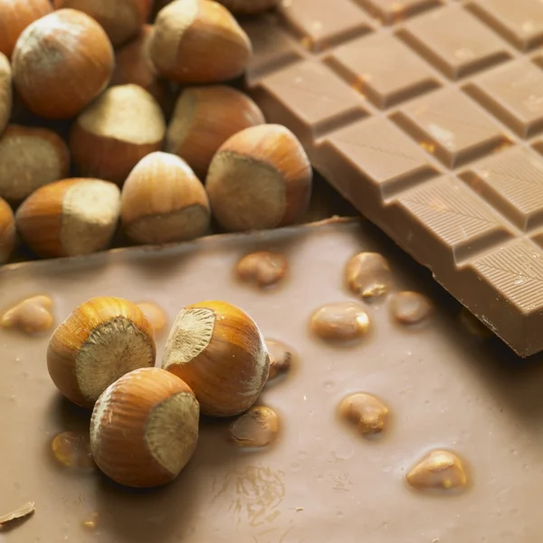 Barras de chocolate con avellanas — Foto de Stock
