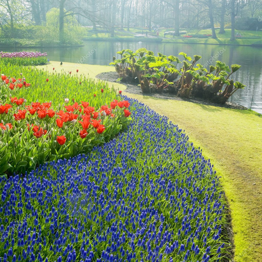 Keukenhof tuinen, lisse, Nederland — Stockfoto © phb.cz 10990342