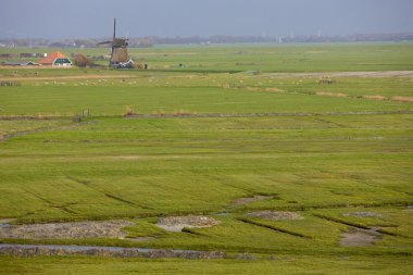 yel değirmeni, Hollanda