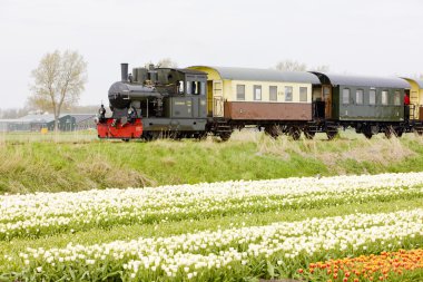 Steam train, Hoorn - Medemblik, Noord Holland, Netherlands clipart