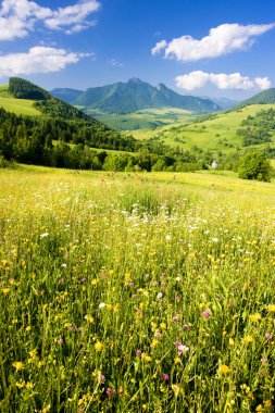 Mala fatra, Slovakya