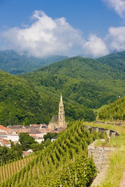Grand cru bağ, thann, alsace, Fransa