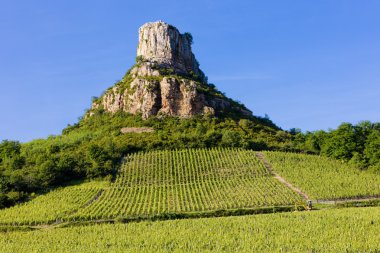 La Roche de Solutré with vineyards, Burgundy, France