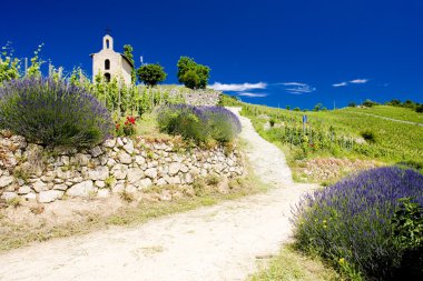 Grand cru vineyard and Chapel of St. Christopher, L´Hermitage, R clipart