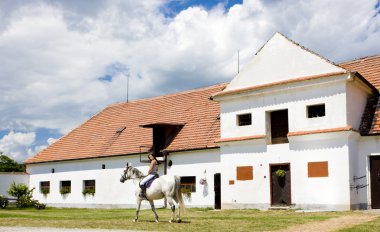 Binicilik at sırtında