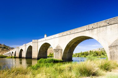 Medellin'de köprü badajoz province, extremadura, İspanya