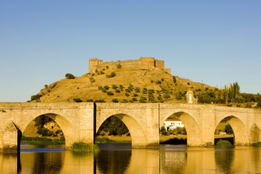 Medellin, badajoz province, extremadura, İspanya