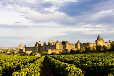Carcassonne, Languedoc-Roussillon, France clipart