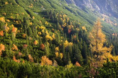 Büyük soğuk Vadisi, Vysoke Tatry (yüksek Tatras), Slovakya