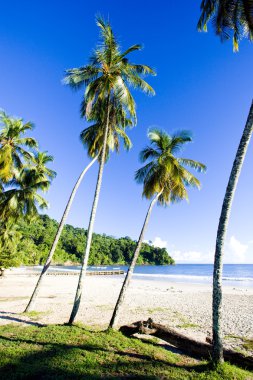 marakas bay, trinidad