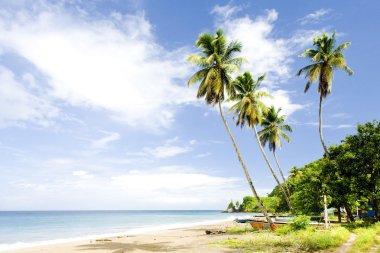 bay Duquesne, grenada