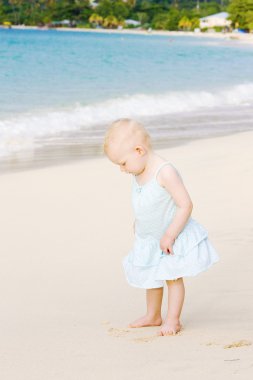 Toddler beach, grand anse Körfezi, grenada