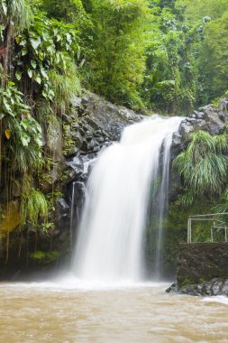 Annadale Falls, Grenada clipart