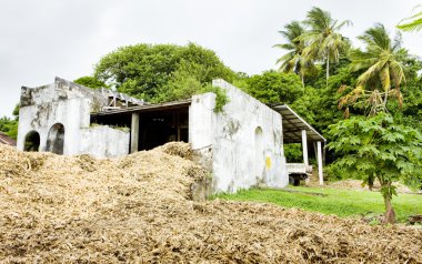 nehir antoine ROM damıtım, grenada