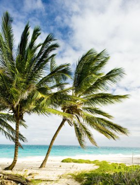 Bottom Bay, Barbados, Karayipler