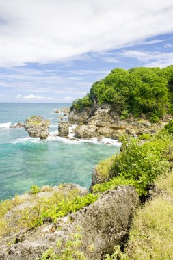 Okçular defne, barbados, Karayipler