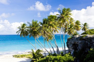 Bottom Bay, Barbados, Karayipler