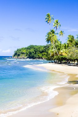 Mount Irvine defne, tobago