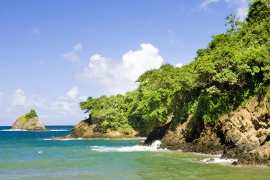 Western coast of Tobago clipart