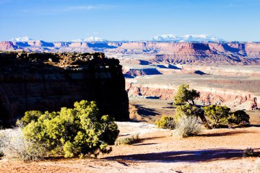 Canyonlands Milli Parkı, utah, ABD