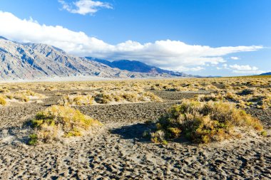 Death Valley Ulusal Parkı, Kaliforniya, ABD