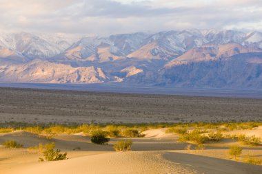 soba borusu, kum tepeleri, ölüm Vadisi Milli Parkı, California'dan kuyuları