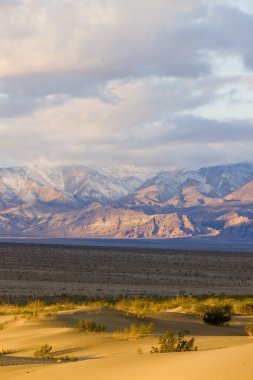 soba borusu, kum tepeleri, ölüm Vadisi Milli Parkı, California'dan kuyuları