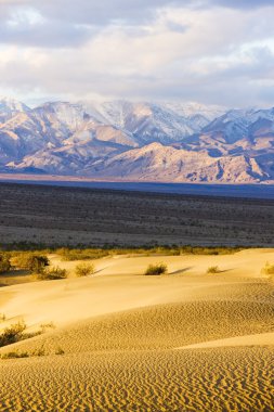 soba borusu, kum tepeleri, ölüm Vadisi Milli Parkı, California'dan kuyuları